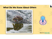 Product image #5