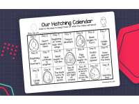 Our Hatching Calendar: The Life Cycle of a Baby Chick preview