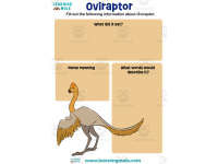 Product image #0