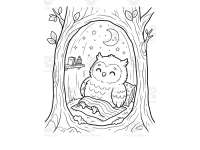 Owls After Dark Coloring Pages for Kids preview 2