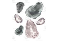 Product image #1