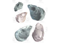 Product image #2