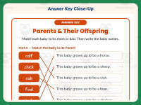 Parents Offspring Worksheet – 1st Grade Animals Practice + Answer Key preview 7