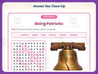 Patriotic Word Search Worksheet – 3rd Grade America & Government preview 7