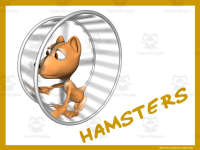 Product image #2