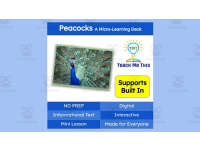 Product image #0
