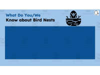 Product image #2