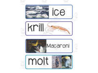 Product image #4