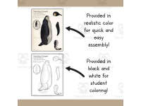 Product image #1