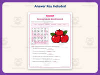 Pennsylvania Word Search Worksheet – 3rd Grade States Practice preview 3