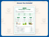 Person Place or Thing Worksheet – 2nd Grade Nouns Practice preview 3