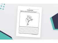 Product image #0