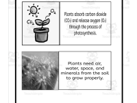 Product image #3