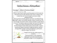 Photosynthesis Reading Passages | Science Reading Comprehension Worksh preview 2