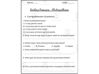 Photosynthesis Reading Passages | Science Reading Comprehension Worksh preview 3