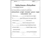 Photosynthesis Reading Passages | Science Reading Comprehension Worksh preview 4