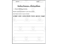 Photosynthesis Reading Passages | Science Reading Comprehension Worksh preview 5