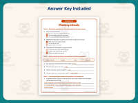 Photosynthesis Reading Worksheet – 4th Grade Plants Practice preview 3