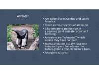 Product image #1