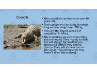 Product image #1