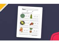 PL & PR Blends Worksheet – Phonics Practice preview