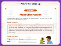 Plant Observation Worksheet – 3rd Grade Note Taking & Plants Practice preview 7