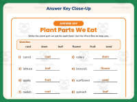 Plant Parts We Eat Worksheet – 1st Grade Health and Nutrition & Plants preview 7