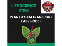 Plant Xylem Capillary Action Hydro-Transport STEM Lab (BIO05) preview