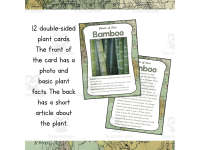 Product image #1