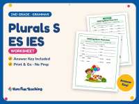 Plurals S ES IES Worksheet – 2nd Grade Plural Nouns Practice preview