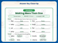 Plurals S ES IES Worksheet – 2nd Grade Plural Nouns Practice preview 7
