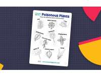 Poisonous Plants Activity preview