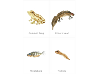 Product image #2