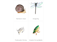 Product image #3