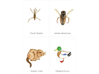 Product image #4