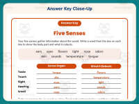 Popcorn Five Senses Worksheet – 4th Grade Anatomy & Human Body preview 7