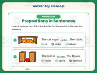 Prepositions in Sentences Worksheet – 1st Grade Grammar Practice preview 7