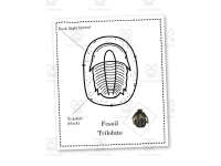 Product image #1