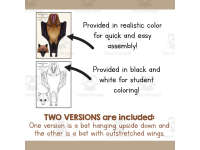 Product image #1
