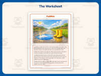 Puddles Reading Comprehension Worksheet – 2nd Grade Weather Practice preview 2