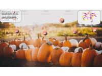 Product image #2