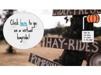 Product image #5