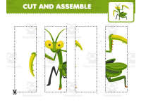 Product image #2