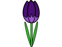 Product image #4