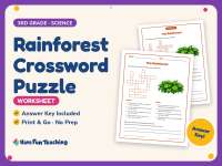 Rainforest Crossword Puzzle Worksheet – 3rd Grade Geography Practice preview
