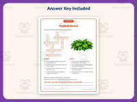 Rainforest Crossword Puzzle Worksheet – 3rd Grade Geography Practice preview 3
