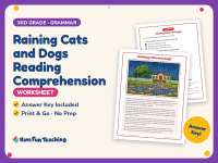 Raining Cats and Dogs Reading Comprehension Worksheet – 3rd Grade preview