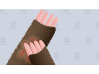 Product image #0