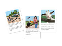 Product image #1