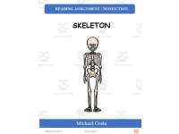 Product image #0